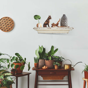 Cheyenne Wall-Mount Display Shelf, Wall Shelves Organizer for Bedrooms, Hallways, Stairways, Entryways, Kitchens, and Bathrooms