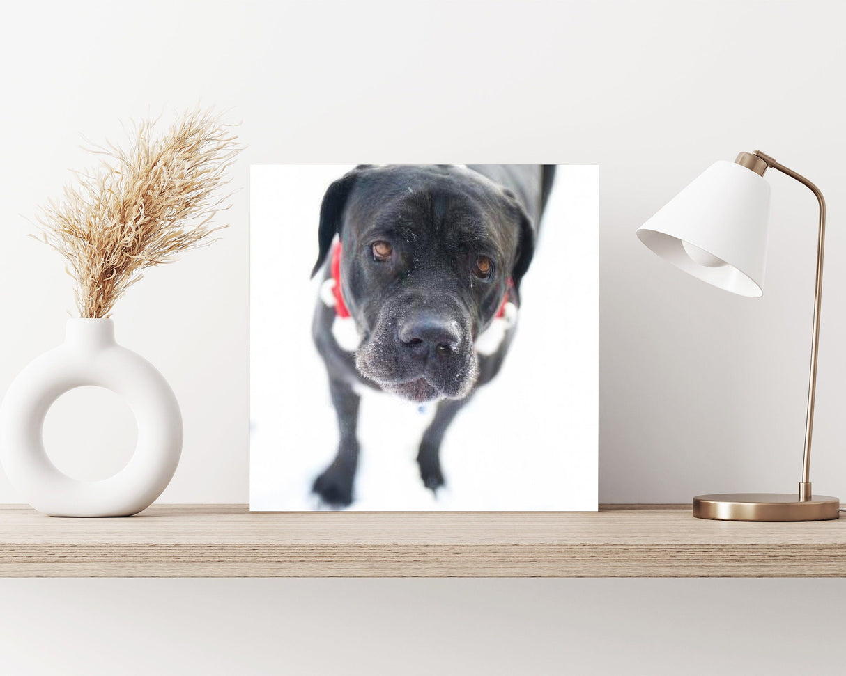 12in Unique Personalized Print Canvas | Photo Canvas, Custom Canvas Prints for Your Photos