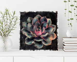 12in Spring Canvas Sign with Succulent Design | Spring Wall Decor, Rustic Farmhouse Decor, Canvas Print Home Decor
