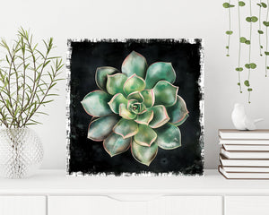 12in Spring Canvas Sign with Succulent Design | Spring Wall Decor, Rustic Farmhouse Wall Decor, Canvas Print Home Decor