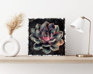 12in Spring Canvas Sign with Succulent Design | Spring Wall Decor, Rustic Farmhouse Decor, Canvas Print Home Decor