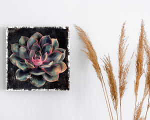 12in Spring Canvas Sign with Succulent Design | Spring Wall Decor, Rustic Farmhouse Decor, Canvas Print Home Decor