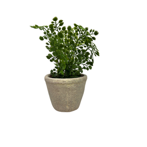 Faux  Fern in Cement Pot