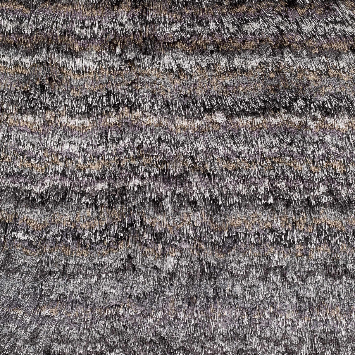 Indian Area Rug - Clearance