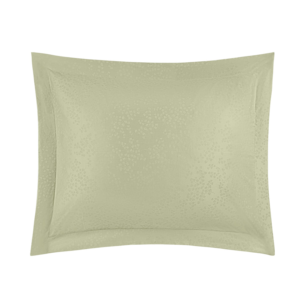 Ivy Sham Set