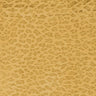 Jaguar Swatch