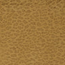 Jaguar Swatch