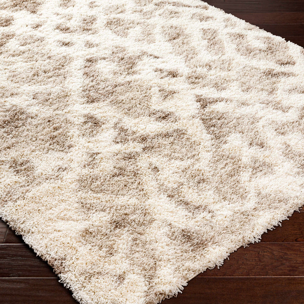 Jase Shag Area Rug