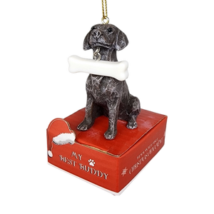 German Shorthaired Pointer with Bone Ornament
