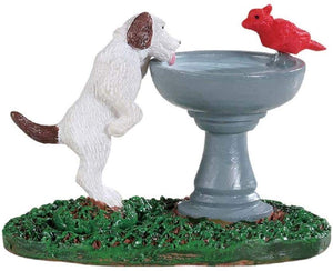 Dog at the Water Fountain