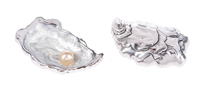 The World is your Oyster Charm