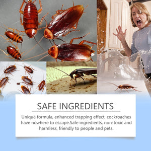 Cockroach Bait Station Paste 8pcs – Natural Formula, 90 Days Protection