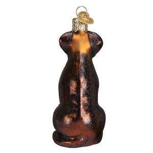 Chocolate Labrador Glass Ornament