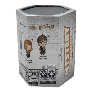 Harry Potter Series 2 Mystery Hallmark Christmas Tree Ornament