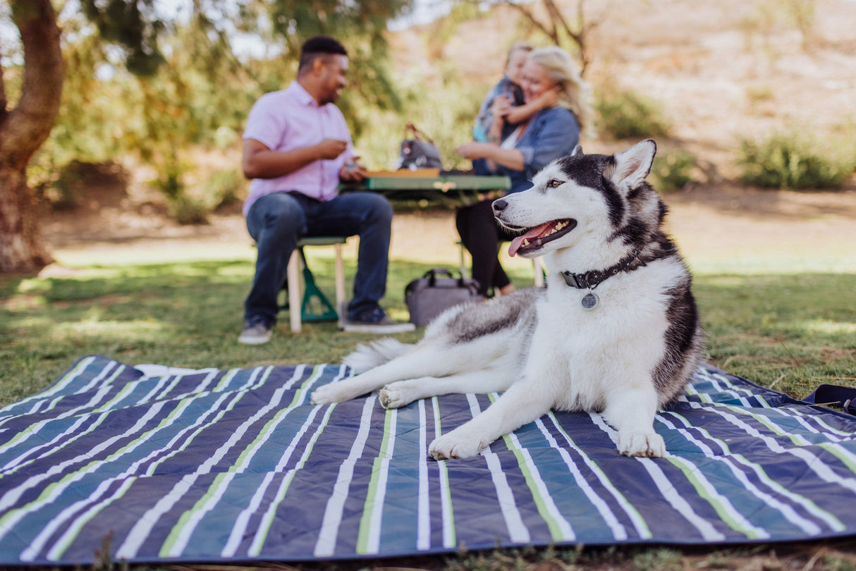 Vista Outdoor Picnic Blanket & Tote