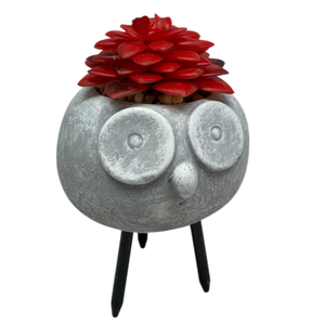 Faux Red Succulent In Planter - Mouse