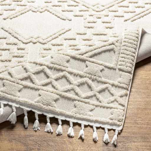 Kalkan High/Low Pile Rug with Tassels - Clearance