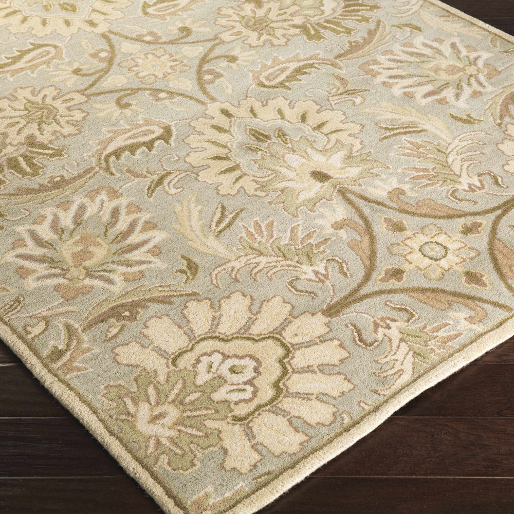 Chesterton Hand Tufted Ivory 1111 Area Rug