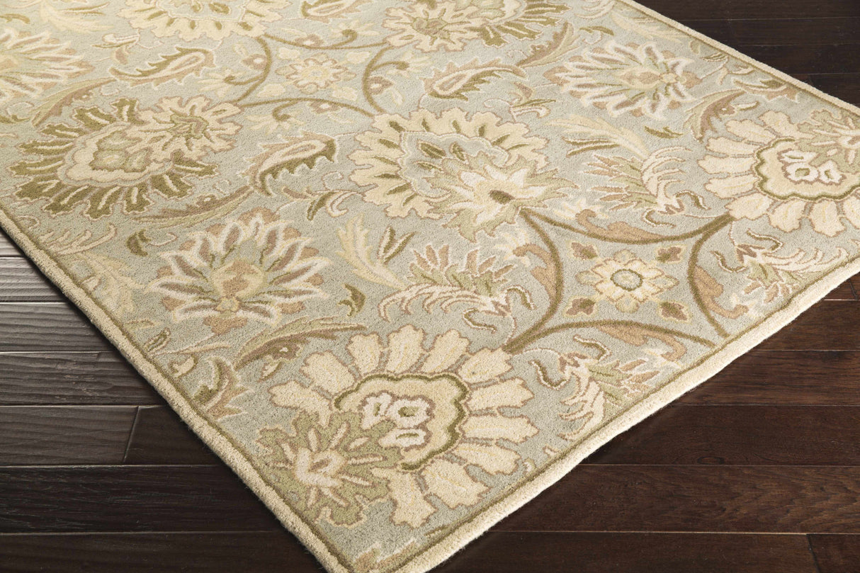 Chesterton Hand Tufted Ivory 1111 Area Rug
