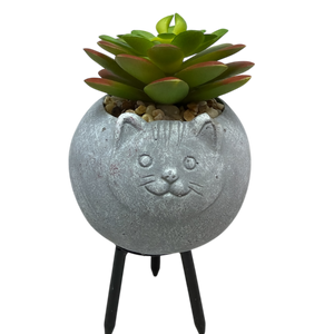 Faux 2 Tone Succulent In Planter - Cat