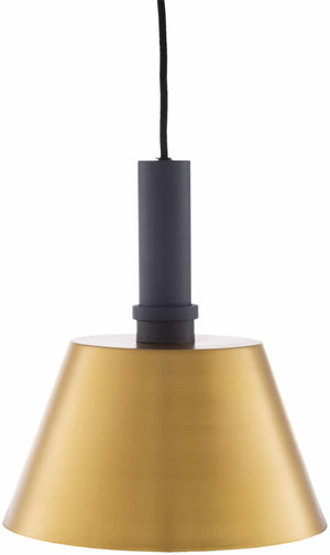 Gastonia Ceiling Light - Clearance