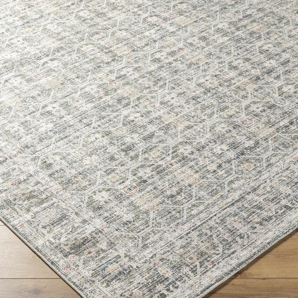 Kaili Area Rug