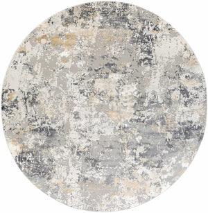 Lenzburg Faux Silk Abstract Rug
