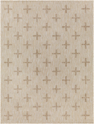 Limbo Beige Outdoor Area Rug