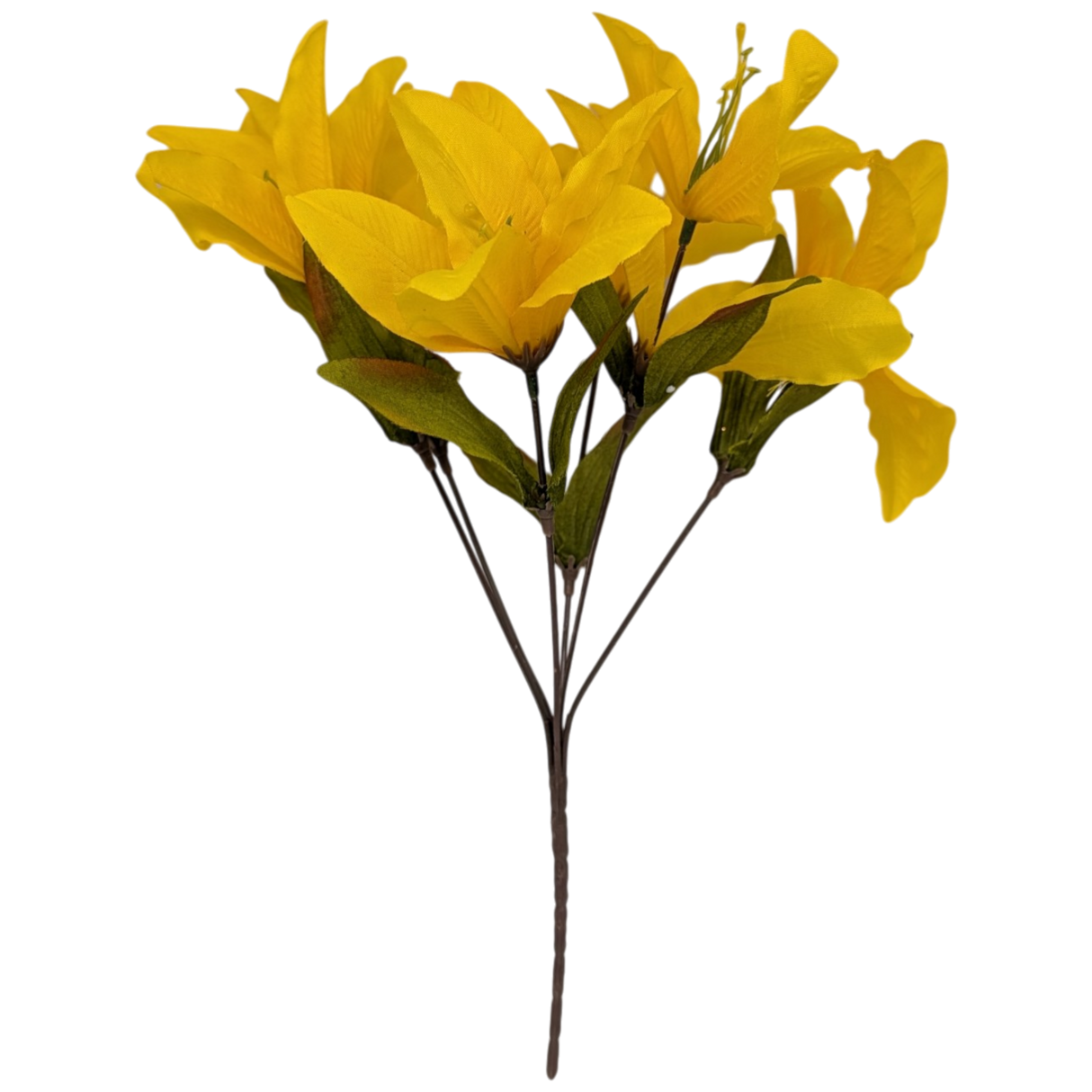 14-Inch Autumn Lily Bush