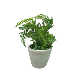 Faux  Boston Fern in Cement Pot