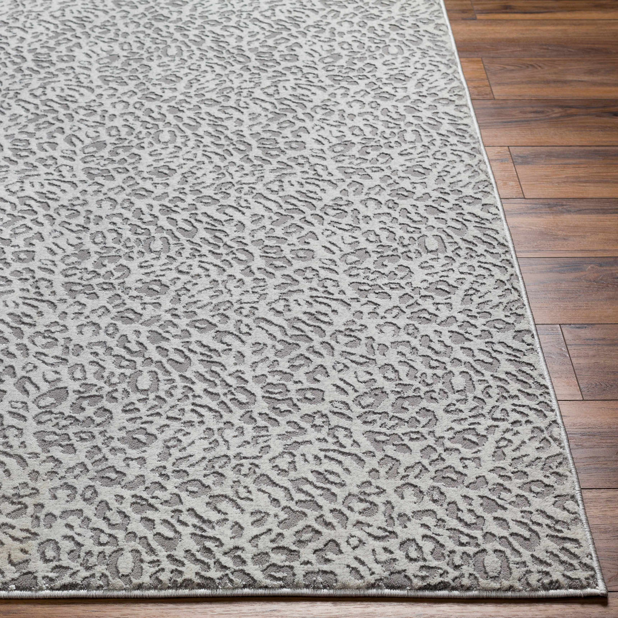Lesa Area Rug - Clearance