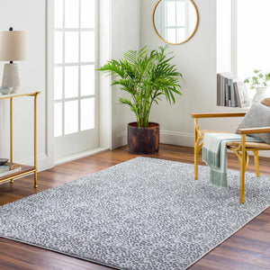 Lesa Area Rug - Clearance