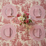 MAGNOLIA GINGHAM PINK WHITE TRIM FABRIC PLACEMAT NAPKIN SET