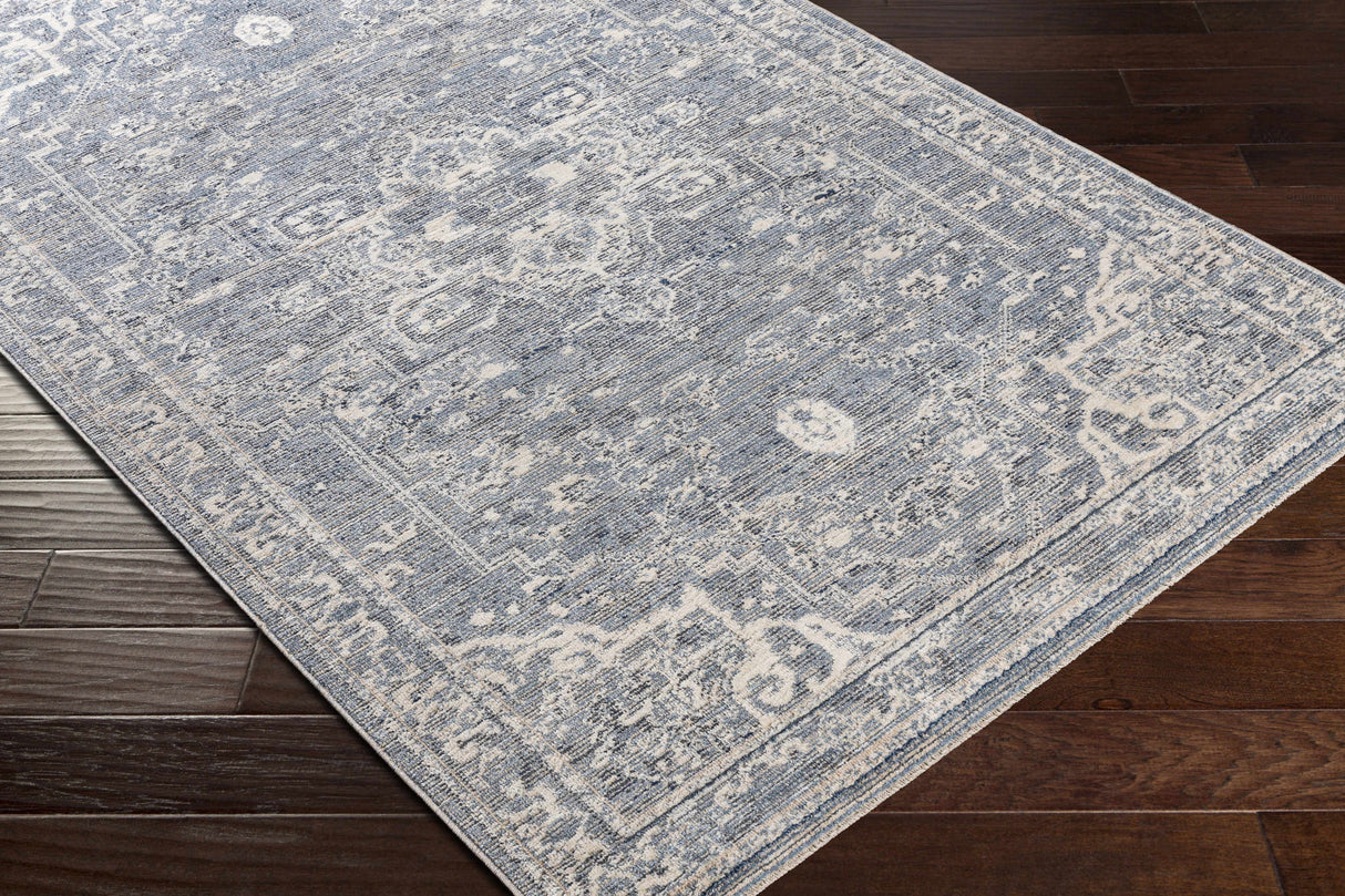 Buguey Blue Area Rug - Clearance