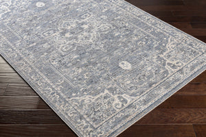 Buguey Blue Area Rug - Clearance