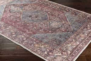 Maplesville Washable Area Rug - Clearance