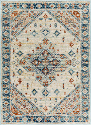 Masinloc Indoor & Outdoor Rug - Clearance