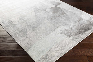 McDowall Viscose Area Rug - Clearance