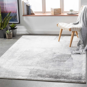 McDowall Viscose Area Rug - Clearance