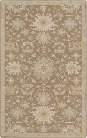 Hazen Hand Tufted Beige 1149 Area Rug