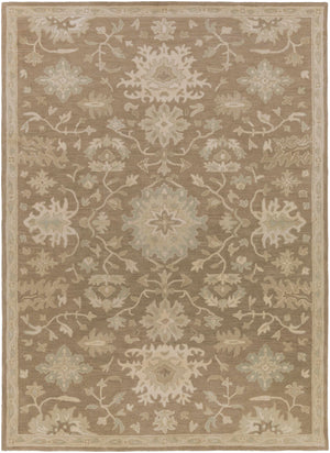 Hazen Hand Tufted Beige 1149 Area Rug
