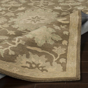 Hazen Hand Tufted Beige 1149 Area Rug