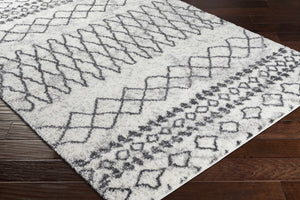Moulden Area Rug - Promo