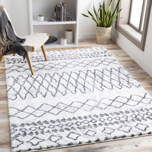 Moulden Area Rug - Promo