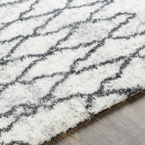 Moulden Area Rug - Promo