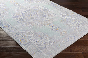 Malasiqui Indoor & Outdoor Rug - Clearance