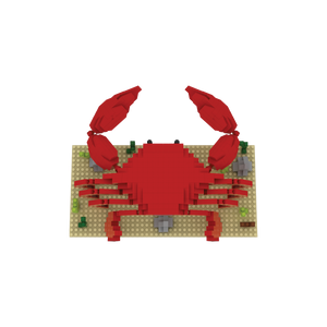 Mini Building Blocks - Crab