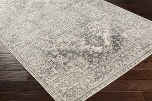 Motley Ultra Distressed Beige Area Carpet - Clearance