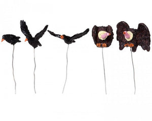 Assorted Birds - Set Of 5