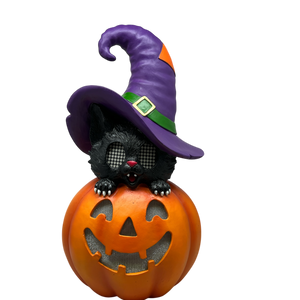 Cat On Pumpkin  With Moving Digital Eyes